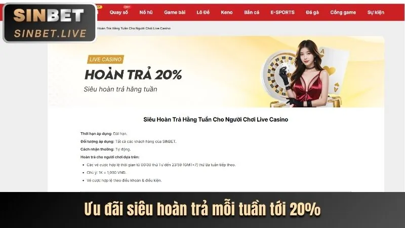 Tổng quan nền tảng cpc3 bet